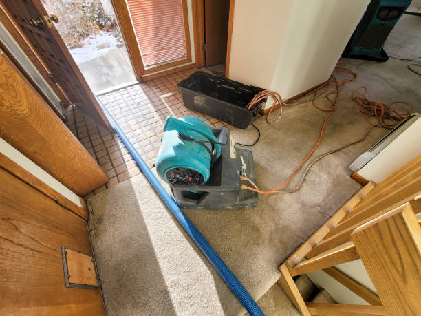 Best Emergency water damage restoration  in Lusk, WY
