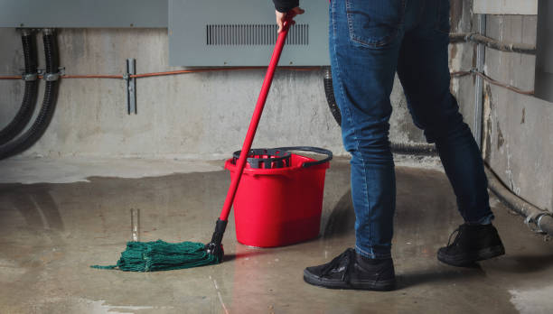 Best Water damage contractors near me  in Lusk, WY