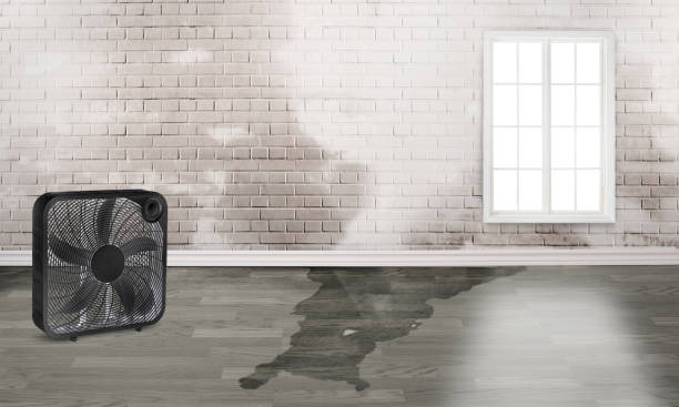 Best Water damage restoration near me  in Lusk, WY