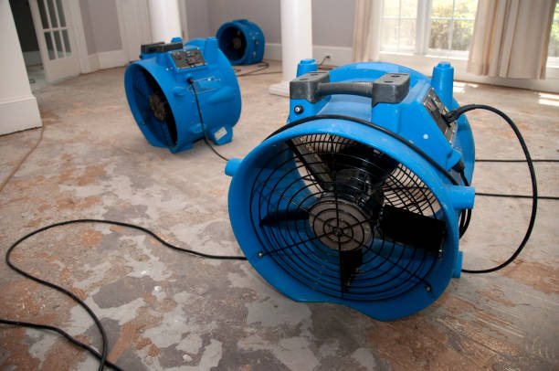 Best Sewage cleanup and water damage restoration  in Lusk, WY