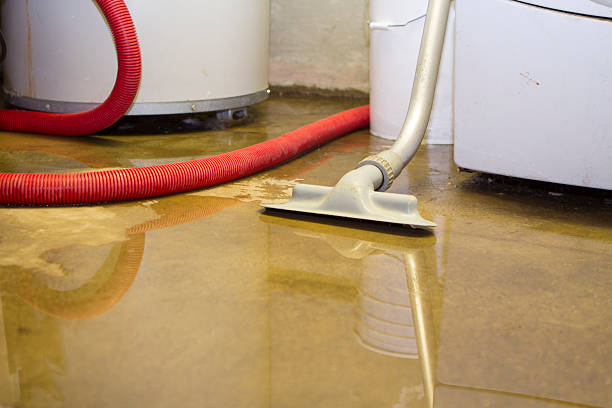 Best Flood restoration services  in Lusk, WY