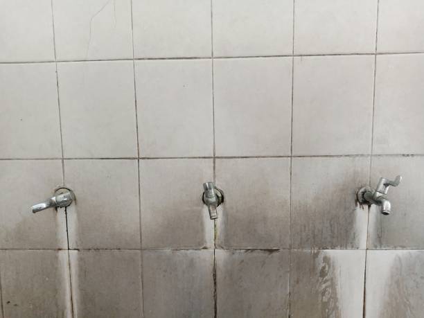 Trusted WY Water damage restoration Experts