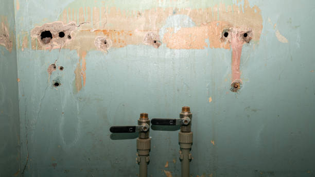 Best Local water damage restoration  in Lusk, WY