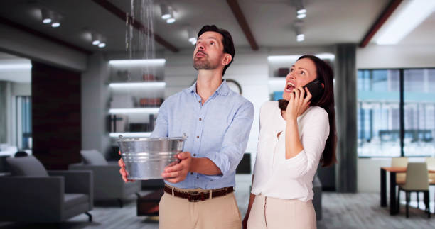 Best Carpet water damage restoration  in Lusk, WY